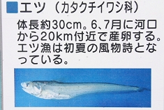 エツ