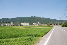 金立山