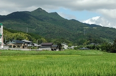 冠岳