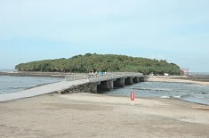 日南海岸　青島